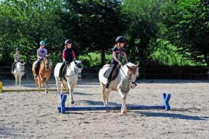 a group of people on horses jumping over a hurdle at Familienhotel Reiterhof Runding in Runding +15 photos