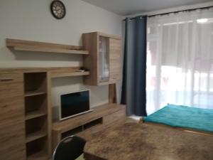 帕莫瑞的住宿－Виктория，一间卧室设有一张床、一台电视和一个窗口。