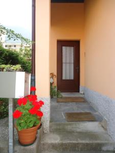 a door of a house with a pot of red flowers at Homestay Dodo in Lugano