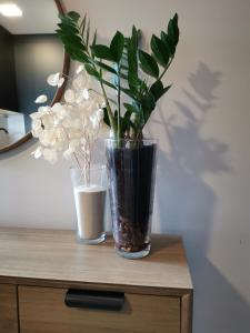 Fotografia z galérie ubytovania San Miguel Suite v destinácii Torremolinos