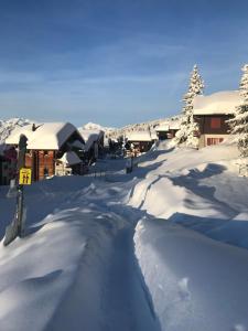 a road covered in snow in front of houses at Hotel Alpfrieden in Bettmeralp