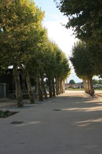 Gallery image of QUAI SOUCHET in Libourne