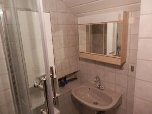 a small bathroom with a sink and a shower at Ferienhaus Greta in Malborn +20 photos