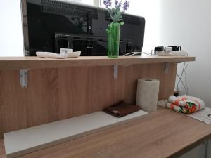 Kjøkken eller kjøkkenkrok på Apartman Maximus