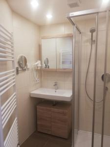 a bathroom with a sink and a shower at APART BRADL in Hippach