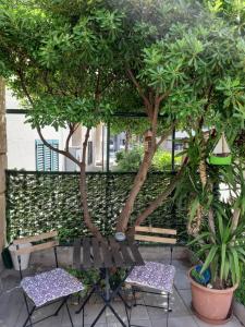 Zahrada ubytování Apartment Mediterraneo