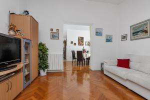 TV a/nebo společenská místnost v ubytování Apartment Gojak Mišo Alen
