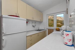 Kuchyň nebo kuchyňský kout v ubytování Apartment Gojak Mišo Alen