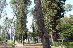 Galeriebild der Unterkunft Apartments Salihbegovic in Nečujam