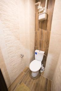 Elle comprend une petite salle de bains pourvue de toilettes. dans l'établissement Staroievreiska Apartments, à Lviv