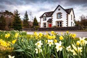 una casa blanca con flores amarillas delante en Craig Villa Guest House en Dalmally