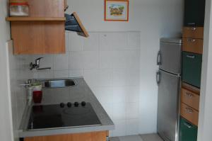 Kuchyň nebo kuchyňský kout v ubytování Apartment Definis