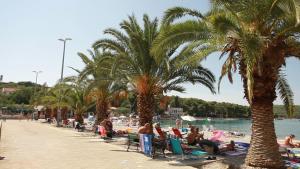 Galeriebild der Unterkunft Apartments Salihbegovic in Nečujam + 8 Fotos