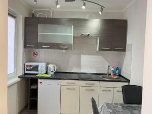 A kitchen or kitchenette at Apartments on Priportovaya,35