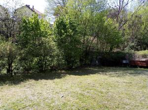 a yard with a bench and some trees and grass at Apartman Miljkovic in Arandelovac