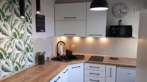 Kuchyňa alebo kuchynka v ubytovaní Apartament Adrianna