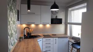 Kuchyňa alebo kuchynka v ubytovaní Apartament Adrianna + 9 fotografií