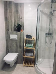 La salle de bains est pourvue d'une douche et de toilettes. dans l'établissement Apartament Adrianna, à Iława