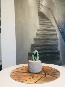 Fotografia z galérie ubytovania Apartament Adrianna v destinácii Iława