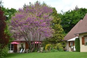 a purple tree in a yard next to a house at Le Clos Fleuri in Giverny
