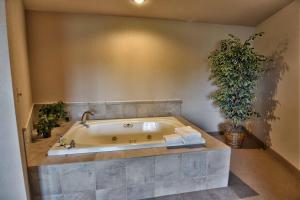 a bathroom with a bath tub with a potted plant at Unit 312 1 Bd 1 Ba Condo Condo in Birchwood