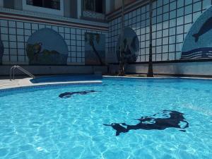 uma piscina com um tubarão na água em apartman Eva em Hurghada