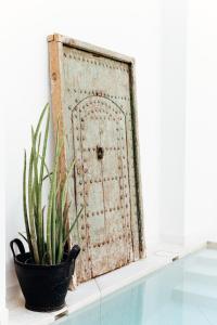 une vieille porte sur une étagère avec une plante en pot dans l'établissement Numa Marrakech, à Marrakech