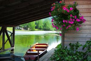 Widok na rzekę nieopodal tego obiektu B&B