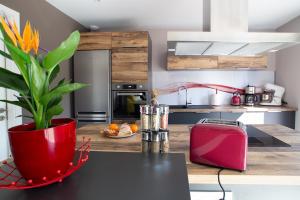 a kitchen counter with a red toaster and a plant at Gîte à la Source in Breitenbach