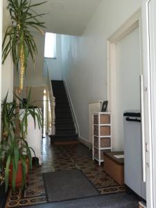 un pasillo con una escalera con una planta en Villa-Valentine, en Namur