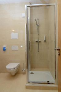 a bathroom with a shower and a toilet at Hotel Bélier in Prešov