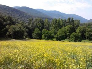 Φυσικό τοπίο κοντά σε αυτός ο ξενώνας