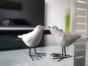Fotografia z galérie ubytovania Apartmány Urban v Poprade