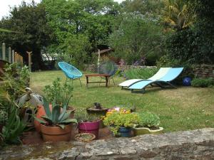サルゾーにあるMaison de Pêcheursの草の中に植物を植えた椅子付きの庭園