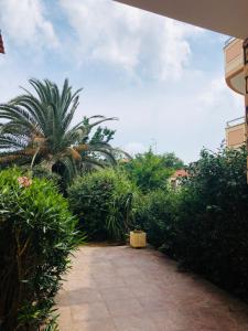 A garden outside Alrose