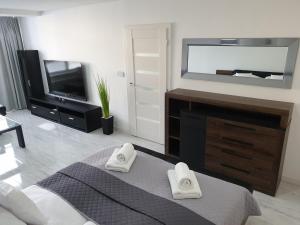 Televízia a/alebo spoločenská miestnosť v ubytovaní Apartmány Urban