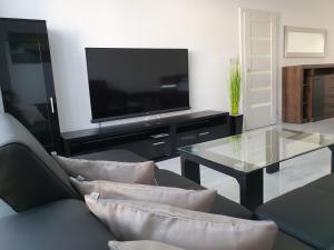 Televízia a/alebo spoločenská miestnosť v ubytovaní Apartmány Urban