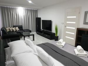 Televízia a/alebo spoločenská miestnosť v ubytovaní Apartmány Urban