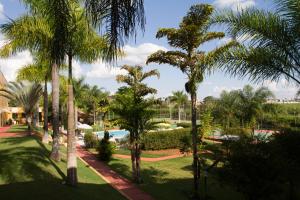 a park with palm trees and a swimming pool at Hotel Dan Inn Franca & Convenções in Franca