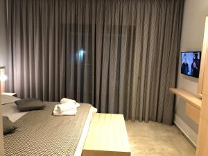 une chambre d'hôtel avec un lit et une télévision dans l'établissement Filoxenia Studios, à Afytos