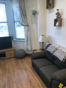 a living room with a couch and a television at Nant Apartment - Ground Floor in Menai Bridge