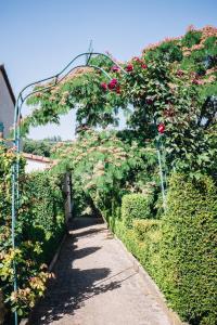 a garden with roses growing on a pergola at LA FERME JARLAN in Berganty