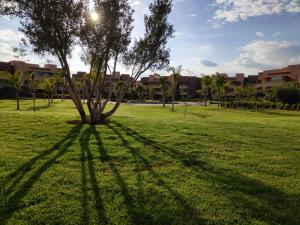 un arbre jette une ombre sur l'herbe dans un parc dans l'établissement Magnifique appart vue sur golf, à Marrakech