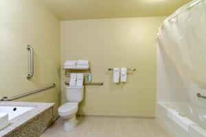 a bathroom with a toilet and a sink and a shower at Cobblestone Inn & Suites - Lakin in Lakin