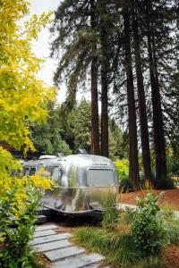 a row of airstream trailers parked next to trees at AutoCamp Russian River in Guerneville