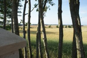 Příroda nedaleko bed and breakfast