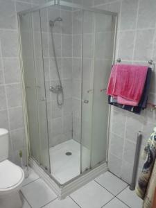 y baño con ducha y puerta de cristal. en Tres de junio, en Puerto Montt