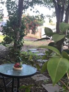 una mesa con una pequeña planta encima en Olive's Cottage, en Mount Gambier