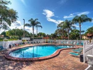 a swimming pool with chairs and palm trees at Shorewalk 2 Bedroom 2 Bathroom Near IMG And Bradenton Beach in Bradenton