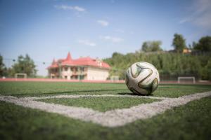 a soccer ball sitting on a soccer field at Alpen Ville in Almaty